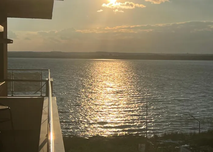 Zenstay Summerland * Мамая